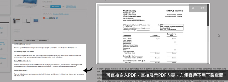 PDF崁入功能